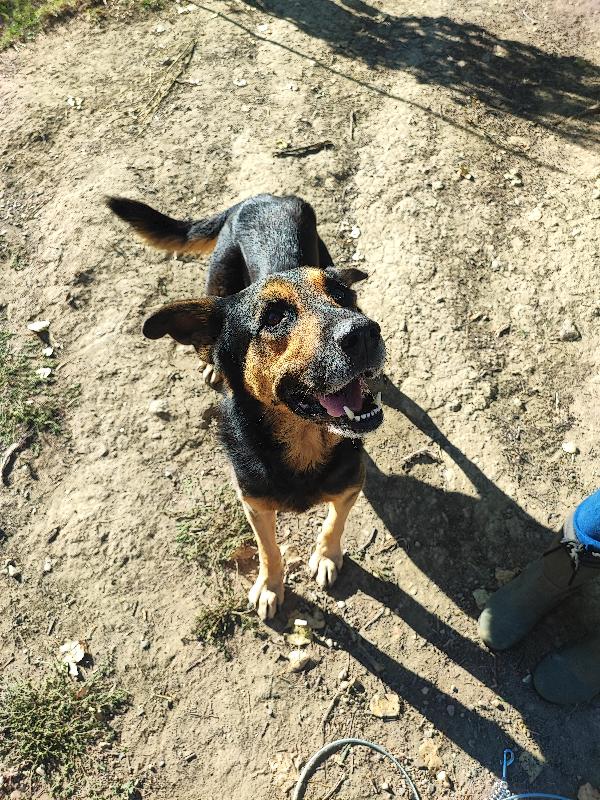 Ettore, la mamma muore e lui finisce in gabbia  Foto 2