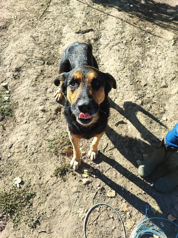 Ettore, la mamma muore e lui finisce in gabbia  Foto 3