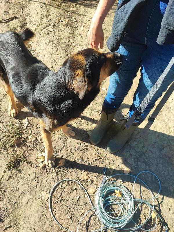 Ettore, la mamma muore e lui finisce in gabbia  Foto 4