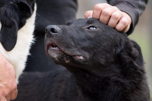 Natan splendido giovanotto cerca amorevole famiglia  Foto 3