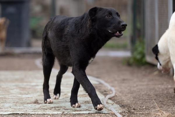 Natan splendido giovanotto cerca amorevole famiglia  Foto 4