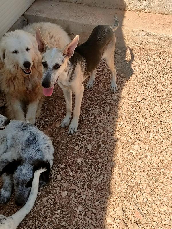 Pierino: Una Vita Dietro Le Sbarre Sogna La Libertà!  