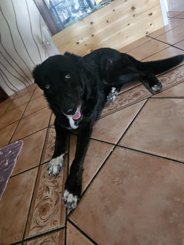 CIOPI RISCHIA DI TORNARE IN STRADA Foto 2