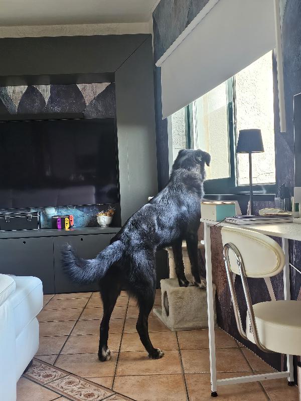 CIOPI RISCHIA DI TORNARE IN STRADA Foto 3