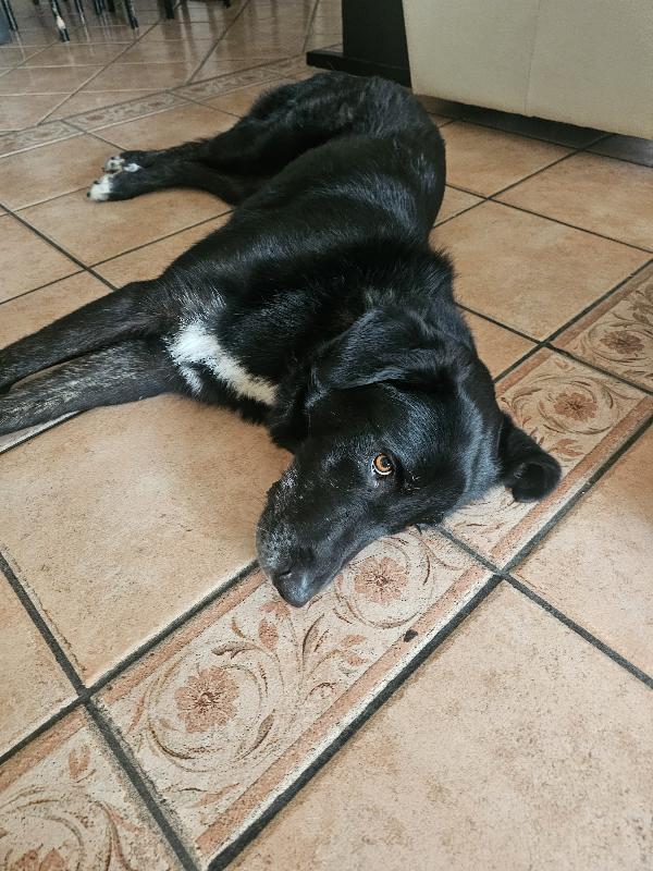 CIOPI RISCHIA DI TORNARE IN STRADA Foto 4