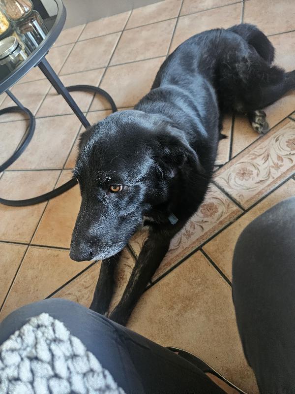 CIOPI RISCHIA DI TORNARE IN STRADA Foto 6