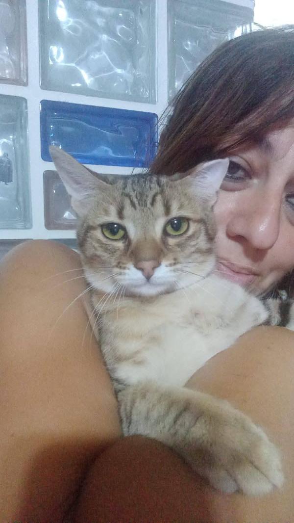 STITCH, tenero cucciolo in adozione ! Foto 3