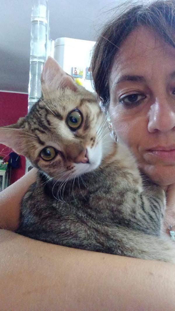 STITCH, tenero cucciolo in adozione ! Foto 4