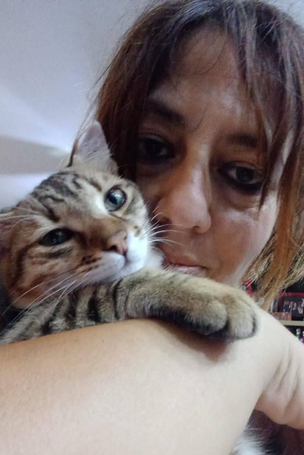 STITCH, tenero cucciolo in adozione ! Foto 5