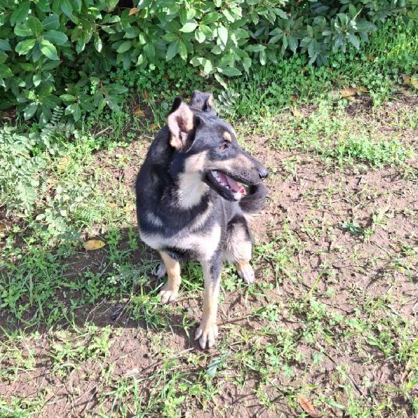 Ada🌊🐾🌊 Foto 3