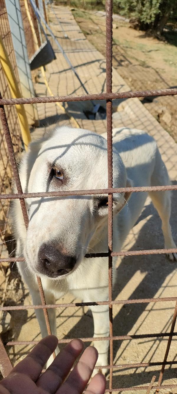 Lola 1 Anno ❤️ Dolcezza Infinita 