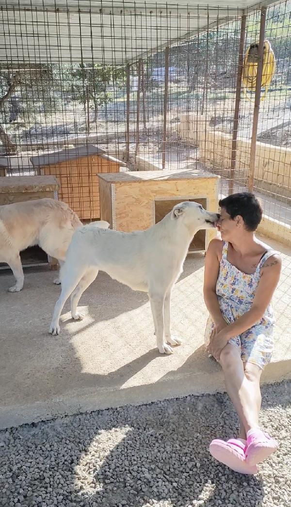 Lola 1 anno ❤️ dolcezza infinita  Foto 3