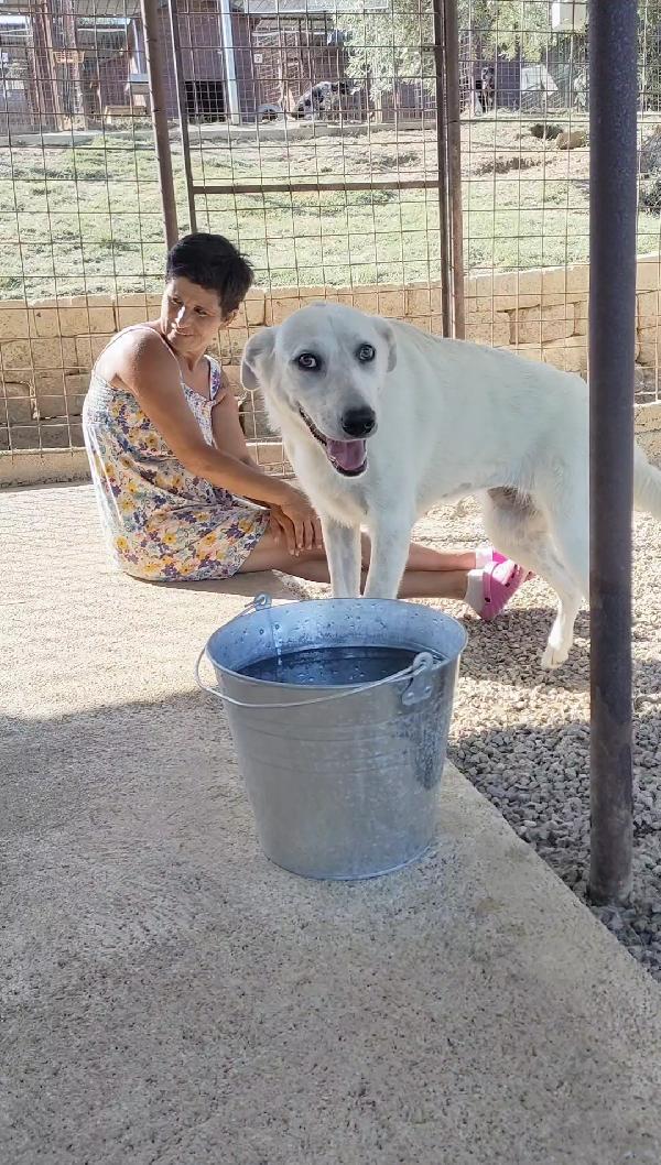 Lola 1 anno ❤️ dolcezza infinita  Foto 8