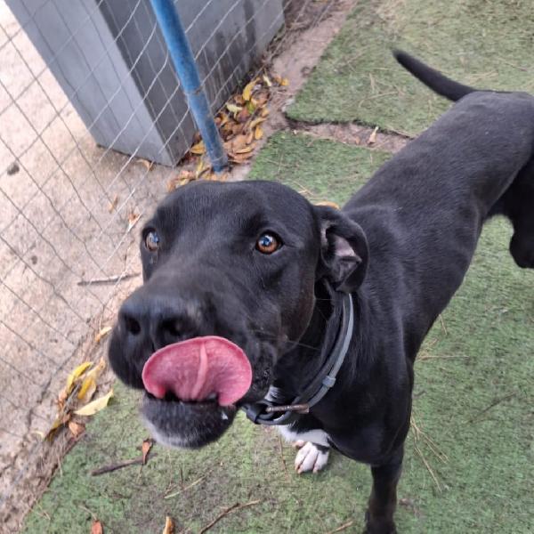 Benny🐾💘🏩 Foto 3