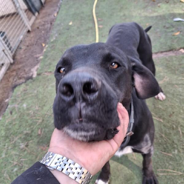 Benny🐾💘🏩 Foto 4