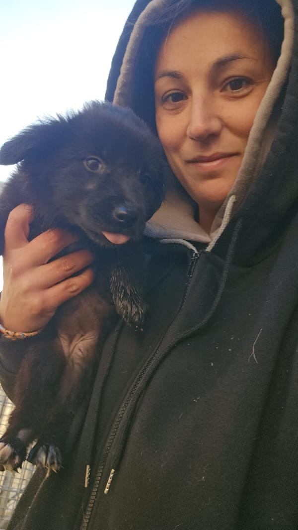 Camomilla Splendida Soffice Cucciola Cerca Casa  Foto 3