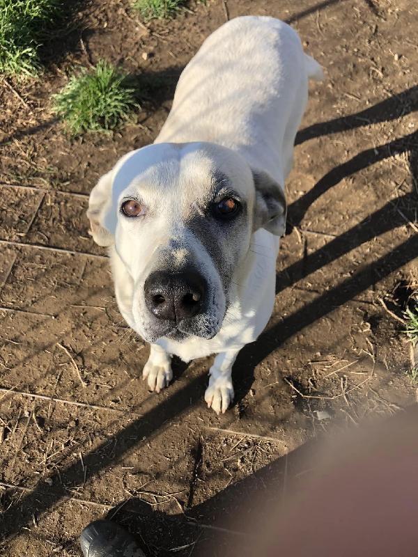 Penny, nel rifugio dal 2016 Foto 5