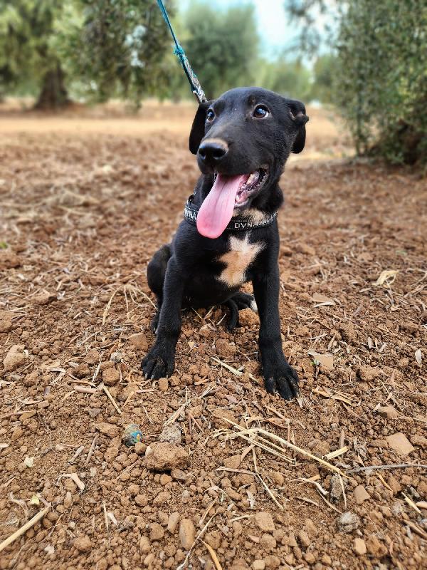 Fiona Quasi 5Mesi E Fratelli Invisibili 