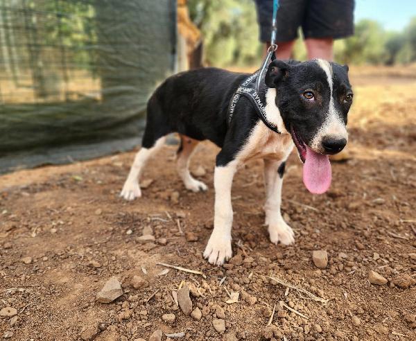Fiona quasi 5mesi e fratelli INVISIBILI  Foto 6