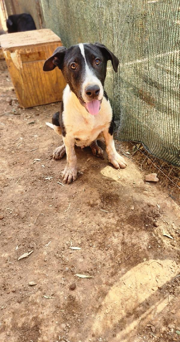 Fiona quasi 5mesi e fratelli INVISIBILI  Foto 7