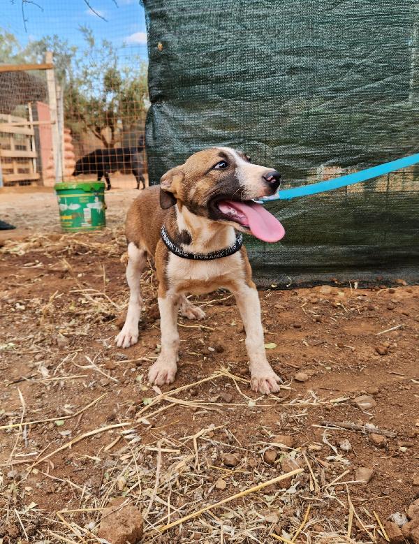 Fiona quasi 5mesi e fratelli INVISIBILI  Foto 8