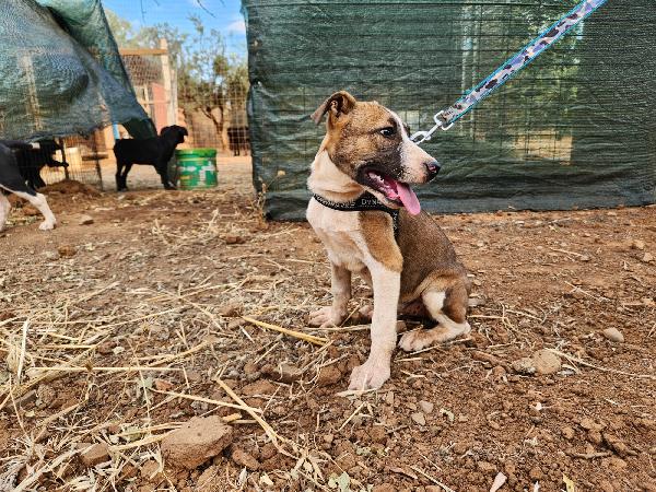 Fiona quasi 5mesi e fratelli INVISIBILI  Foto 9