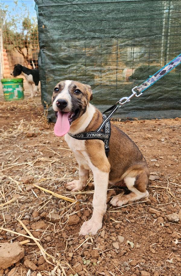 Fiona quasi 5mesi e fratelli INVISIBILI  Foto 11