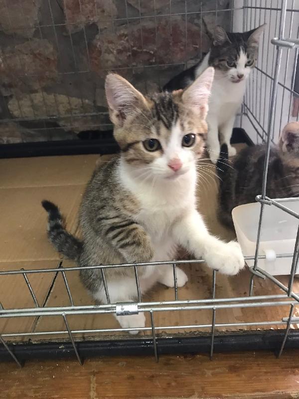 Romolo e remo Foto 6