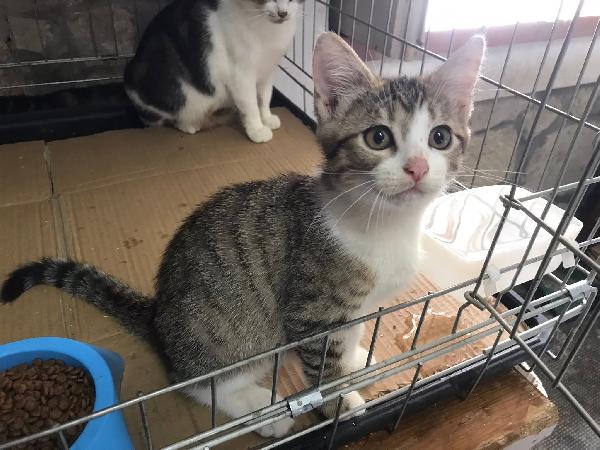 Romolo e remo Foto 10