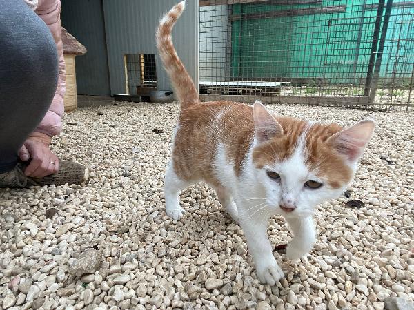 IL TENERISSIMO POOH Foto 3