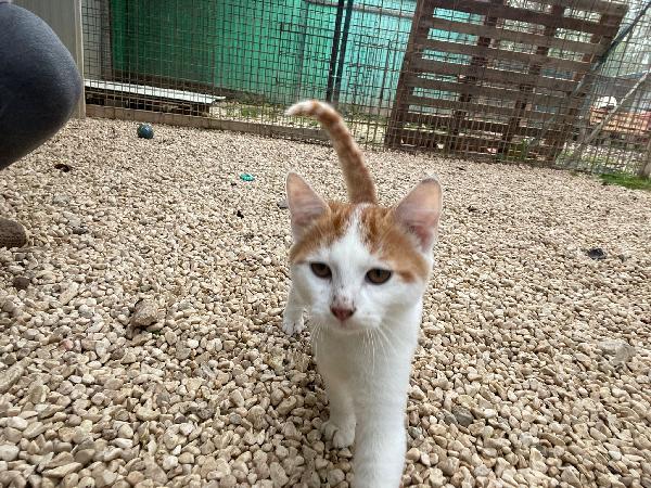 IL TENERISSIMO POOH Foto 5