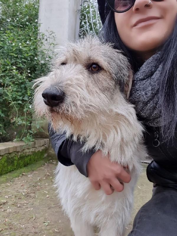 Bella , spinoncina  Foto 2