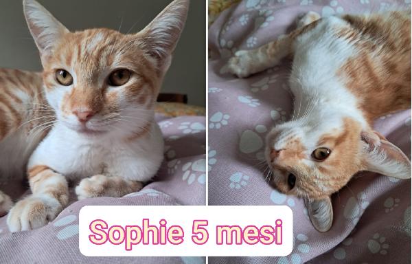 Micini Cercano Famiglia 