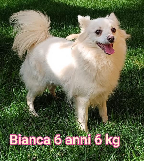 Piccolini max 15 kg Foto 8