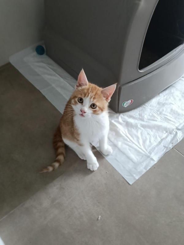 Una Mamma Per Ronnie‼️