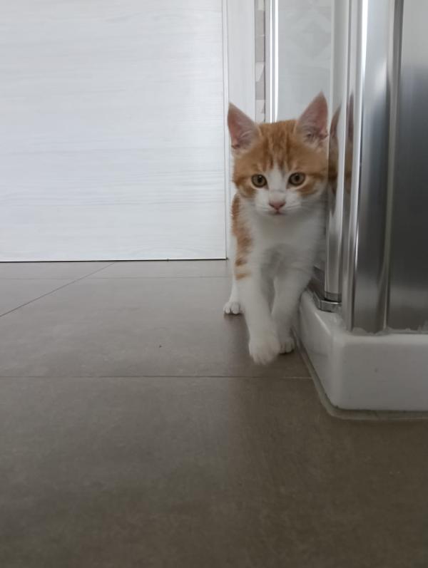 Una mamma per Ronnie‼️ Foto 2