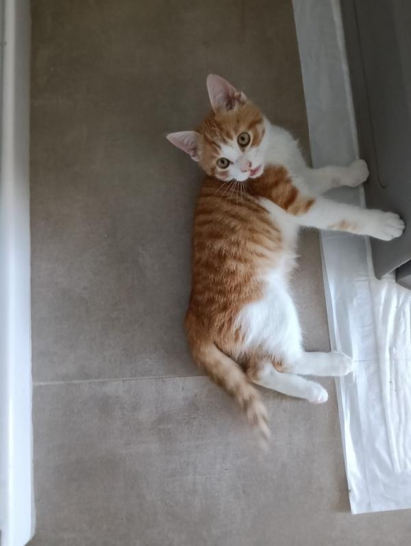 Una mamma per Ronnie‼️ Foto 3