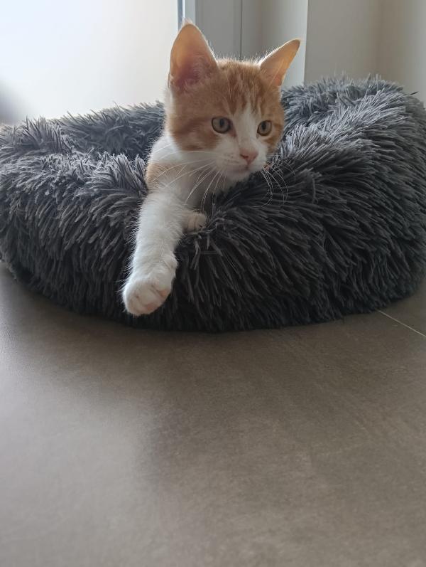 Una mamma per Ronnie‼️ Foto 4