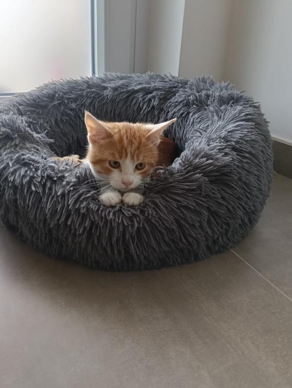 Una mamma per Ronnie‼️ Foto 5