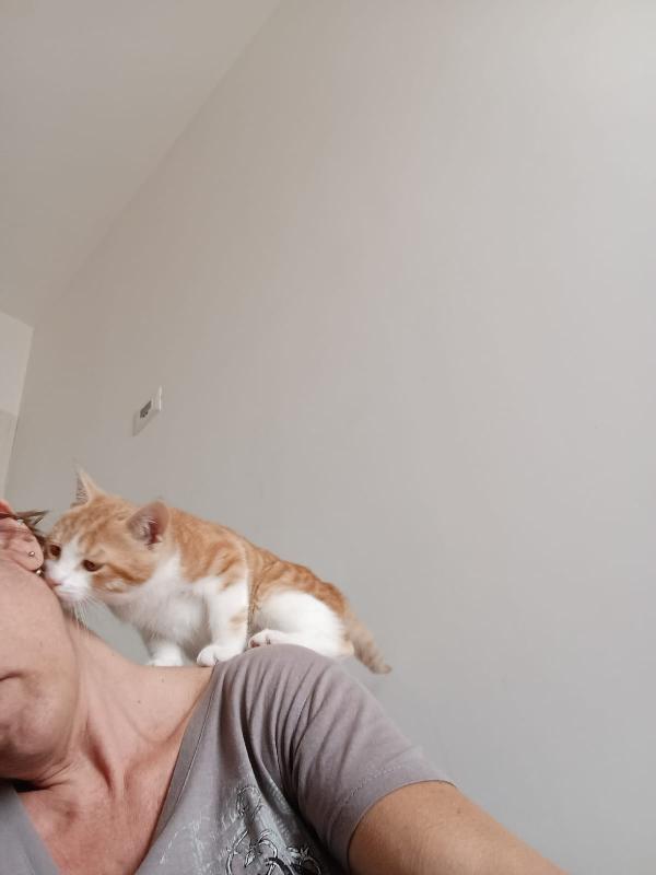 Una mamma per Ronnie‼️ Foto 6