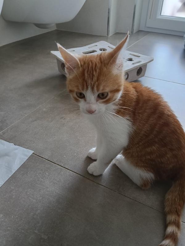 Una mamma per Ronnie‼️ Foto 7