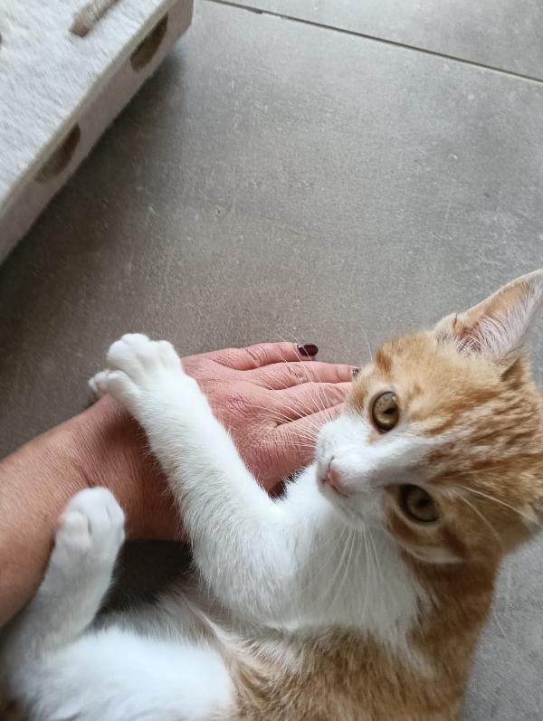 Una mamma per Ronnie‼️ Foto 8