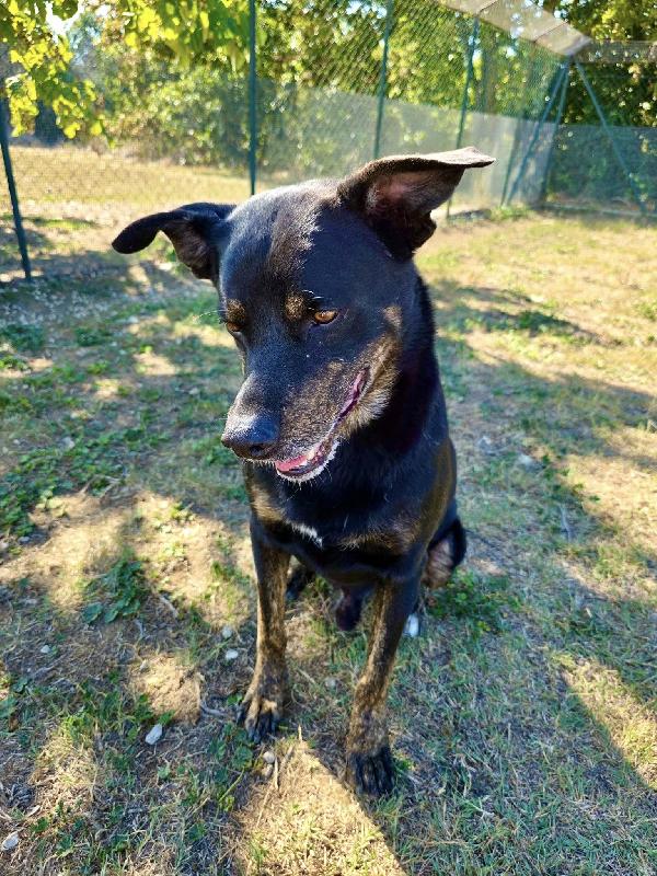 DENVER DOLCE METICCIO NERO Foto 2