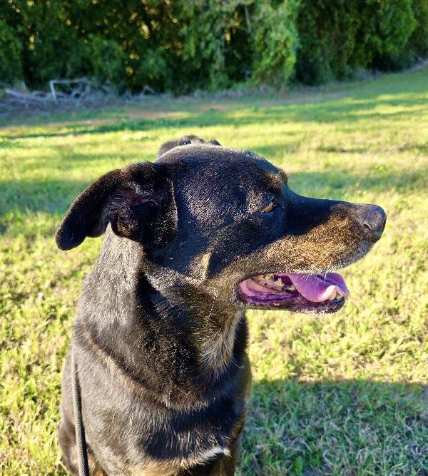 DENVER DOLCE METICCIO NERO Foto 5