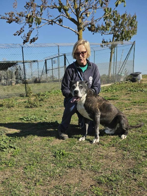 IVAN PATATONE TENERO METICCIO Foto 2