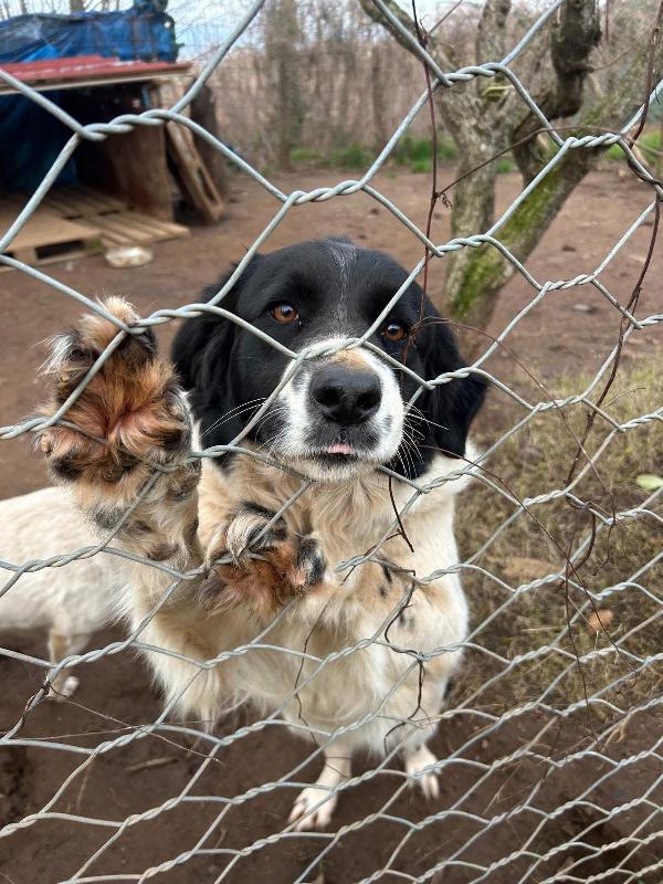 Lola Splendida Giovanotta Cerca Famiglia