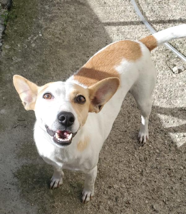 Lilly Taglia Piccola 