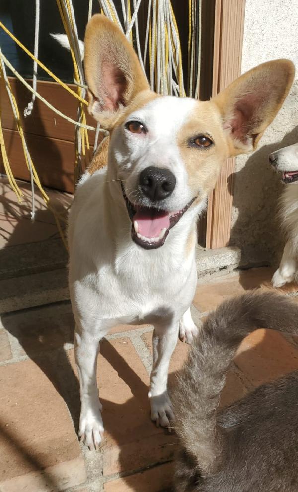 LILLY TAGLIA PICCOLA  Foto 2