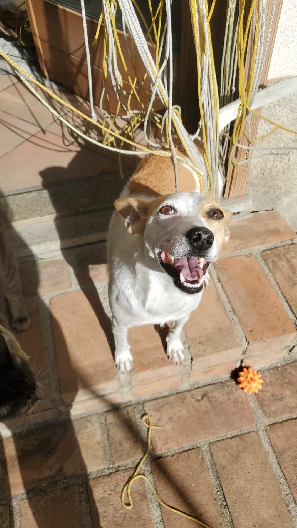 LILLY TAGLIA PICCOLA  Foto 3