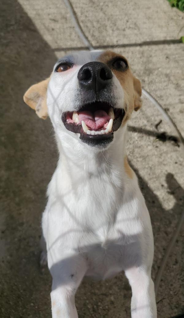 LILLY TAGLIA PICCOLA  Foto 4